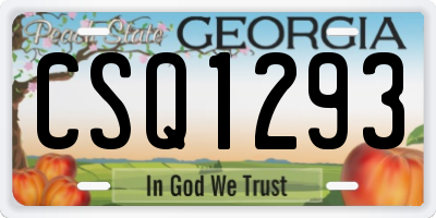 GA license plate CSQ1293