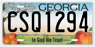 GA license plate CSQ1294