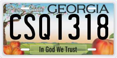 GA license plate CSQ1318