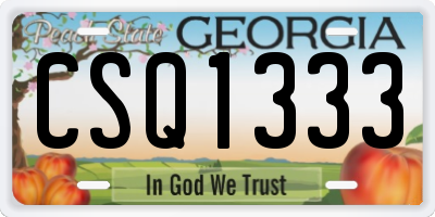 GA license plate CSQ1333