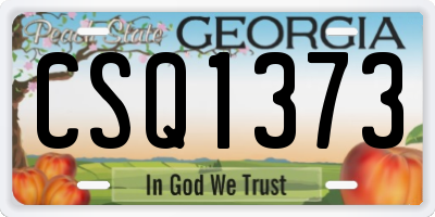 GA license plate CSQ1373
