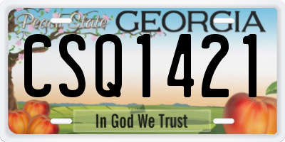 GA license plate CSQ1421