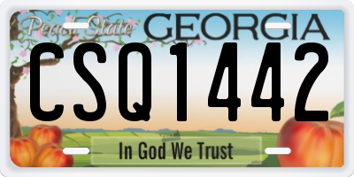 GA license plate CSQ1442