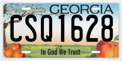 GA license plate CSQ1628