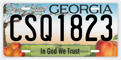 GA license plate CSQ1823