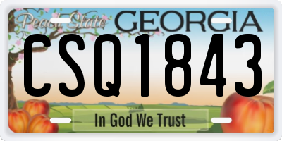 GA license plate CSQ1843