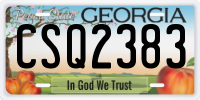 GA license plate CSQ2383