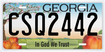 GA license plate CSQ2442