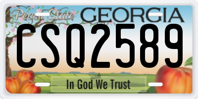 GA license plate CSQ2589