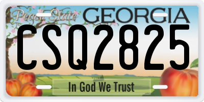 GA license plate CSQ2825