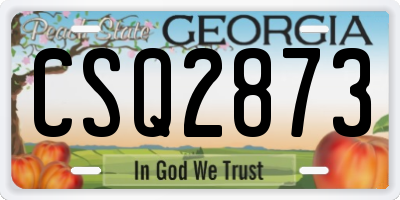 GA license plate CSQ2873