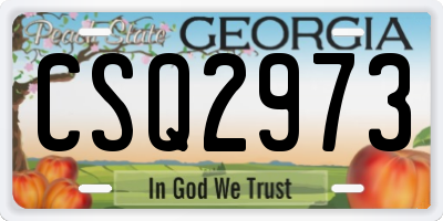GA license plate CSQ2973