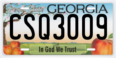 GA license plate CSQ3009