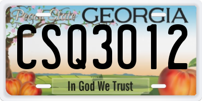 GA license plate CSQ3012