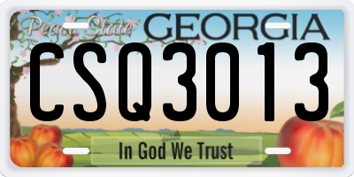 GA license plate CSQ3013