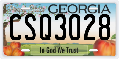 GA license plate CSQ3028