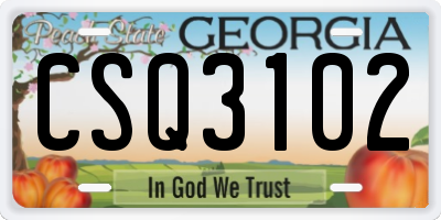 GA license plate CSQ3102