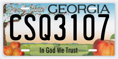 GA license plate CSQ3107