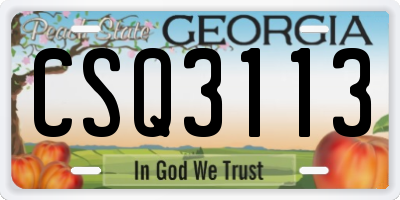 GA license plate CSQ3113