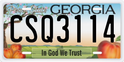 GA license plate CSQ3114
