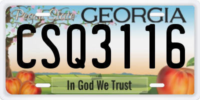 GA license plate CSQ3116