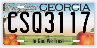 GA license plate CSQ3117