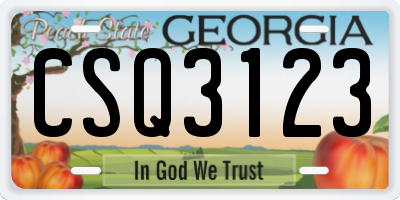 GA license plate CSQ3123