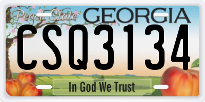 GA license plate CSQ3134