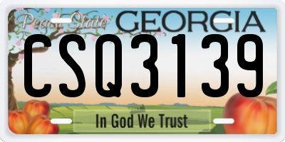 GA license plate CSQ3139