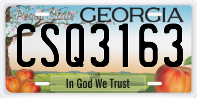 GA license plate CSQ3163