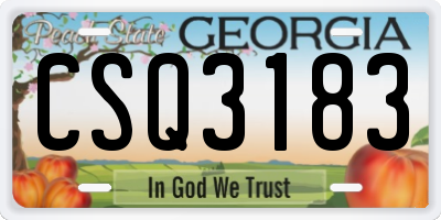 GA license plate CSQ3183