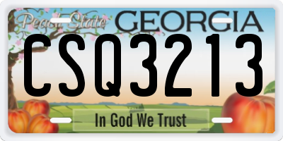 GA license plate CSQ3213