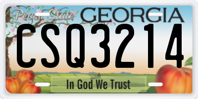 GA license plate CSQ3214