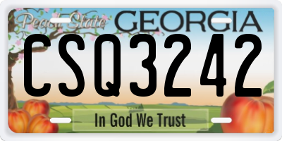 GA license plate CSQ3242
