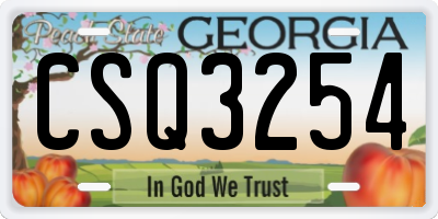 GA license plate CSQ3254