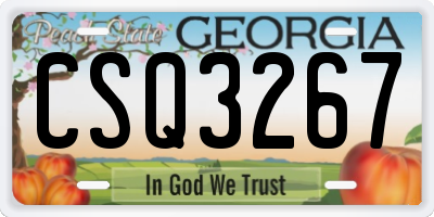 GA license plate CSQ3267