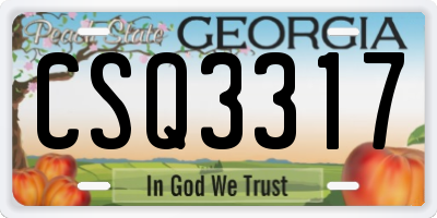 GA license plate CSQ3317