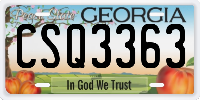 GA license plate CSQ3363