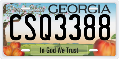 GA license plate CSQ3388