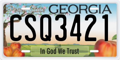 GA license plate CSQ3421