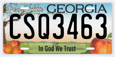 GA license plate CSQ3463