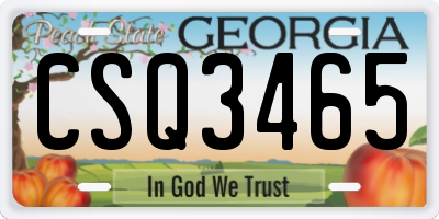 GA license plate CSQ3465