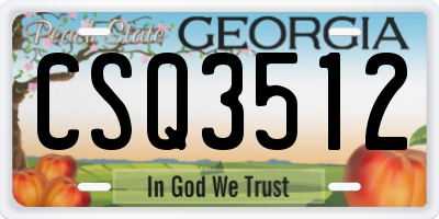 GA license plate CSQ3512