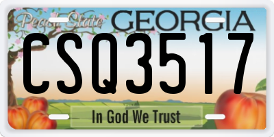 GA license plate CSQ3517