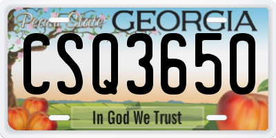 GA license plate CSQ3650