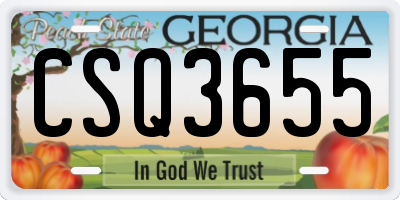 GA license plate CSQ3655