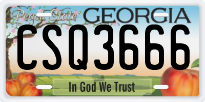 GA license plate CSQ3666