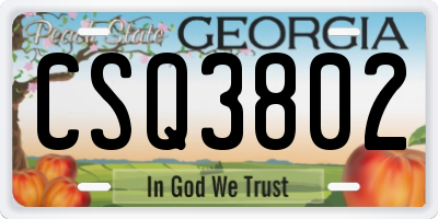 GA license plate CSQ3802