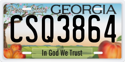 GA license plate CSQ3864