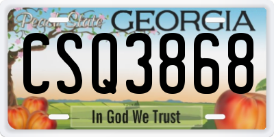 GA license plate CSQ3868